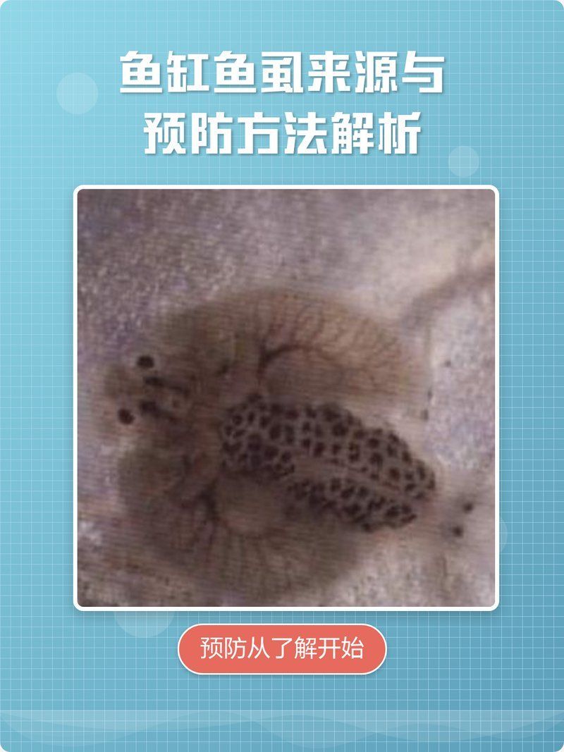 如何預防魚虱的傳播（arxiv論文助手arxiv論文助手可輔助獲取科研圖示與機制）