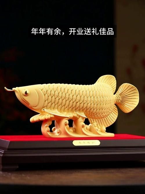 提供幾張不同風格的招財金龍魚圖片（不同風格的招財金龍魚圖片展示）
