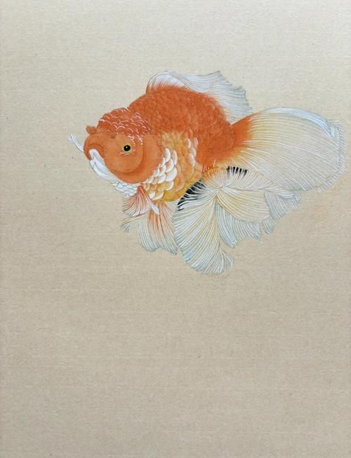有沒有國畫金魚的視頻教程