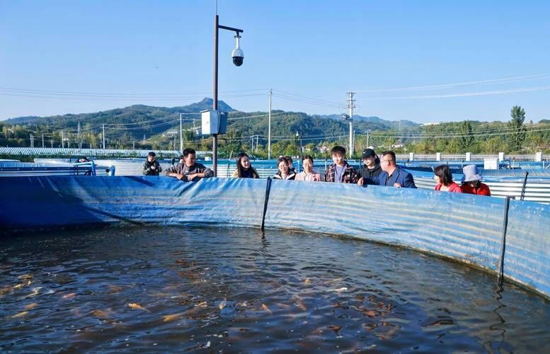 黑鱗病最怕三個魚（“最怕三個魚”和“黑鱗病”的養殖場景中的魚類疾病） 黑鱗病最怕三個魚（“最怕三個魚”和“黑鱗病”的養殖場景中的魚類疾病） 龍魚百科 第6張