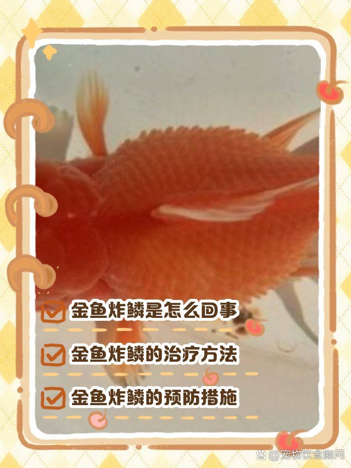 如何判斷金魚是否患有豎鱗?。ㄔ鯓优袛嘟痿~是否患有豎鱗?。?></span>金魚炸鱗是怎么回事怎么治療寵物飲食顧問<h4>二、發病原因分析</h4><ul><li id=