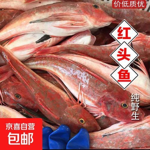 紅頭魚的價格一般是多少（紅頭魚的價格一般多少錢？）