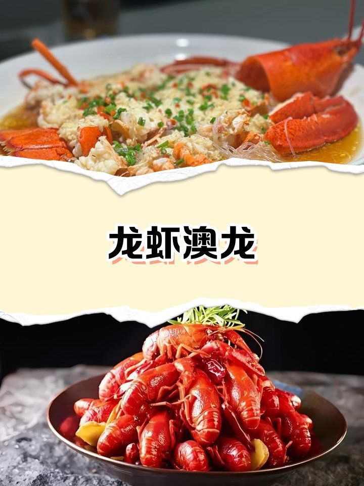 如何區(qū)分澳龍和紅龍（澳龍和紅龍哪個(gè)更受歡迎澳龍和紅龍哪個(gè)更受歡迎）