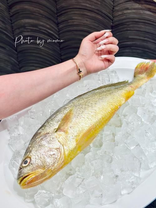 祥龍魚場的黃寬帶蝴蝶魚品質如何？（祥龍魚場的黃寬帶蝴與海水蝴蝶魚分析）
