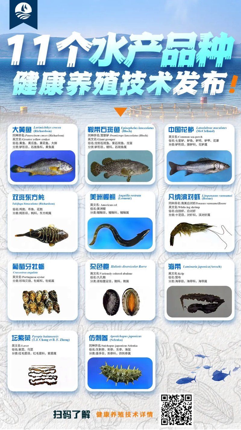 寧德龍魚的養(yǎng)殖技術有哪些？（寧德大黃魚養(yǎng)殖技術）