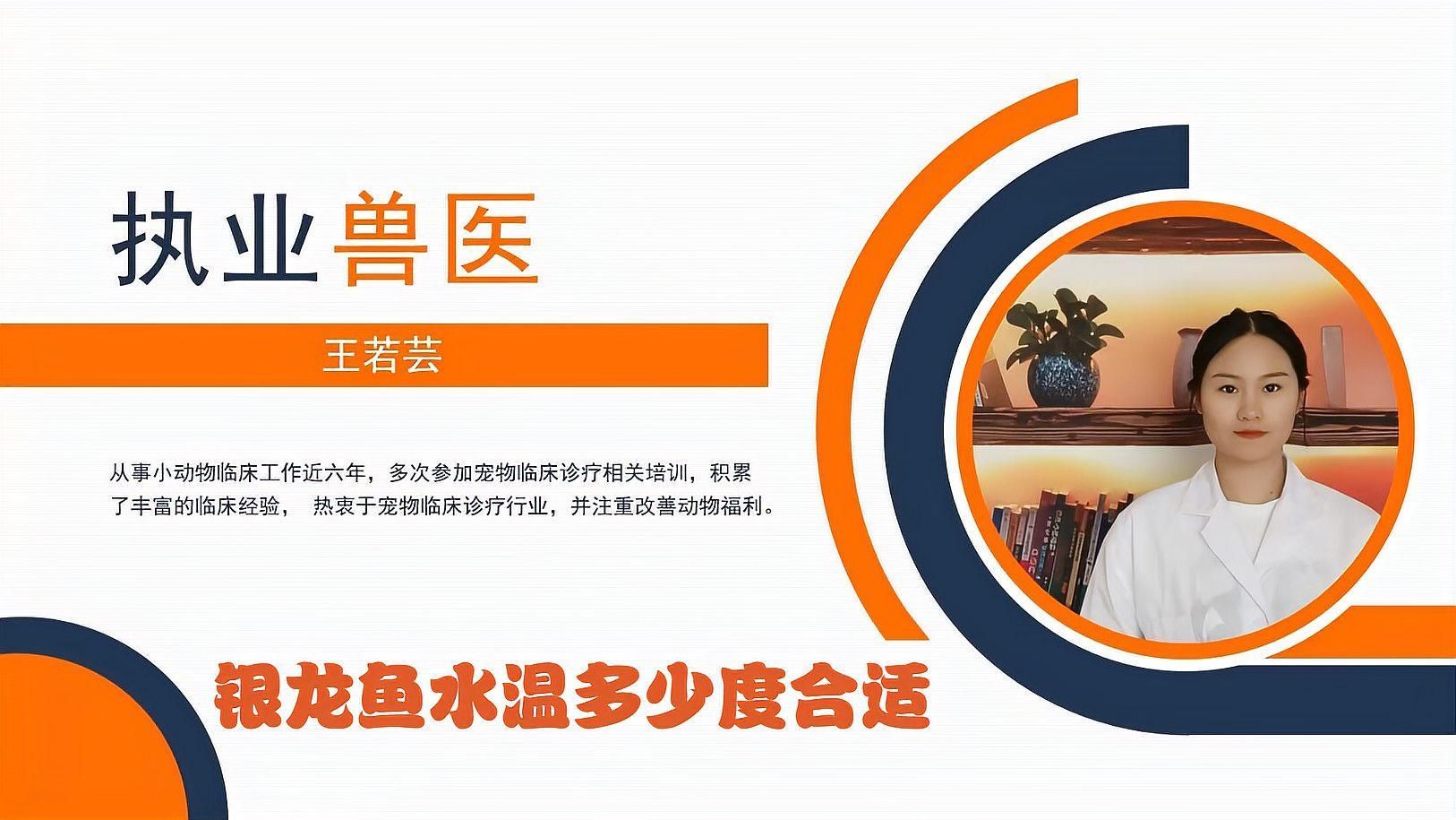 銀龍魚的最佳飼養溫度是多少（銀龍魚水溫多少度合適）