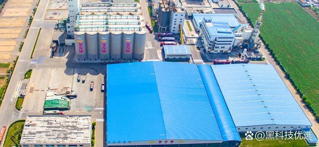 金龍魚在新業務領域的進展如何（進軍“大健康”的金龍魚）