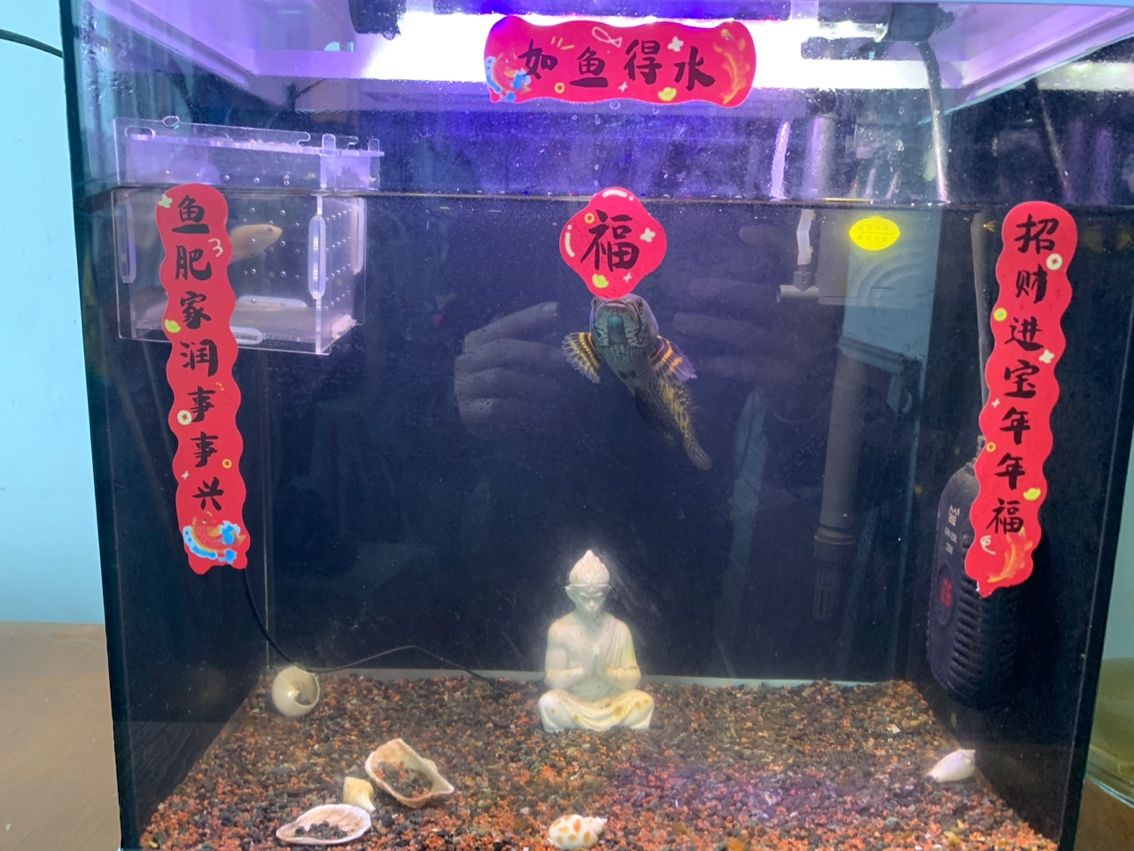 魚吐福氣。（吐福氣是一句寓意吉祥的俗語，通常用來祝福他人）