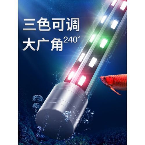 YEE意牌龍魚燈光有哪些型號？（yee意牌龍魚燈型號參數）