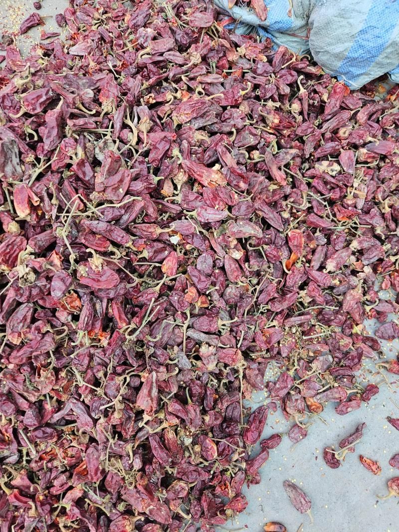 如何區分福清龍魚的品種？