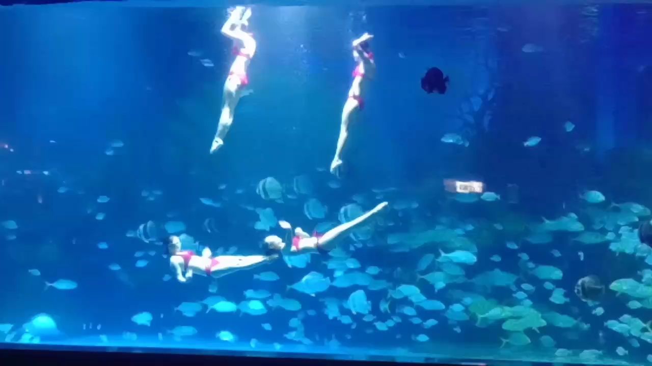 隨拍（隨拍，在數字化時代）