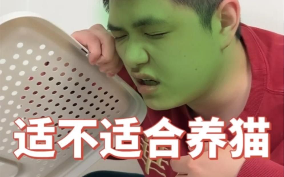如何判斷自己是否適合養(yǎng)貓（養(yǎng)貓的基本需求和性格特點(diǎn)至關(guān)重要，養(yǎng)貓的基本需求）