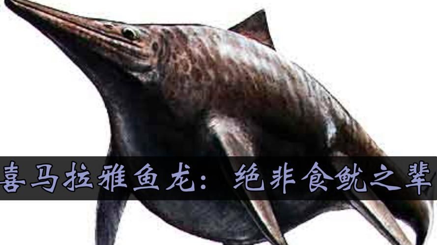給我一張魚龍的真實圖片（魚龍有哪些著名種類）
