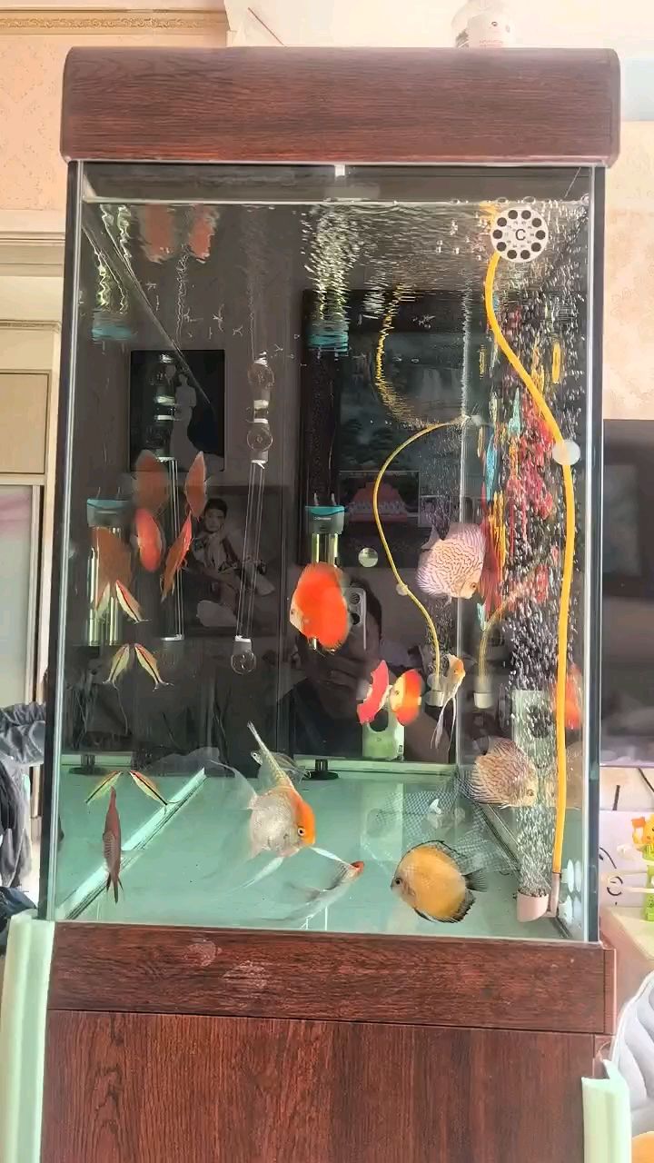（ai在醫療領域的應用與挑戰） （ai在醫療領域的應用與挑戰） 龍魚論壇
