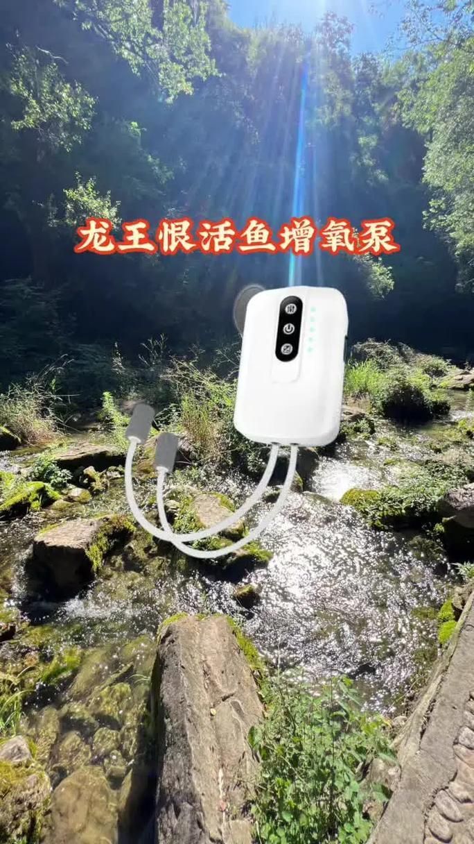 有哪些品牌的增氧泵推薦（增氧泵哪個牌子好）