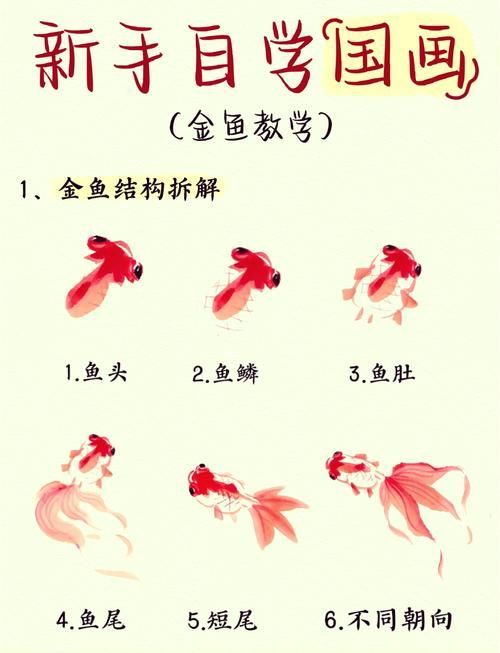 十大風水魚排名（十大風水魚排名詳解）