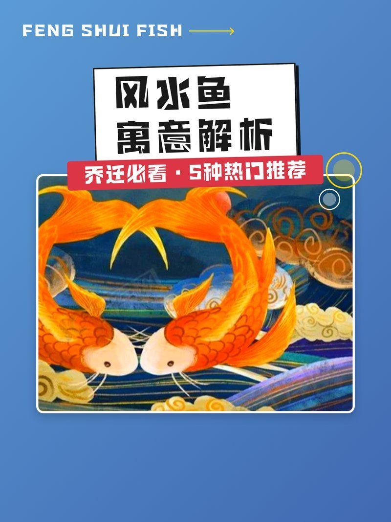 十大風水魚排名（十大風水魚排名詳解）