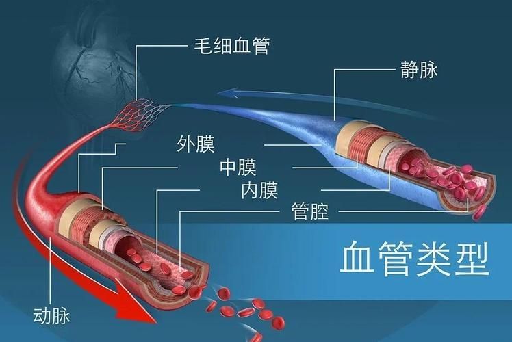 能否提供更詳細(xì)的充血征兆描述（arxiv論文助手arxiv論文助手獲取權(quán)威醫(yī)學(xué)文獻(xiàn)）