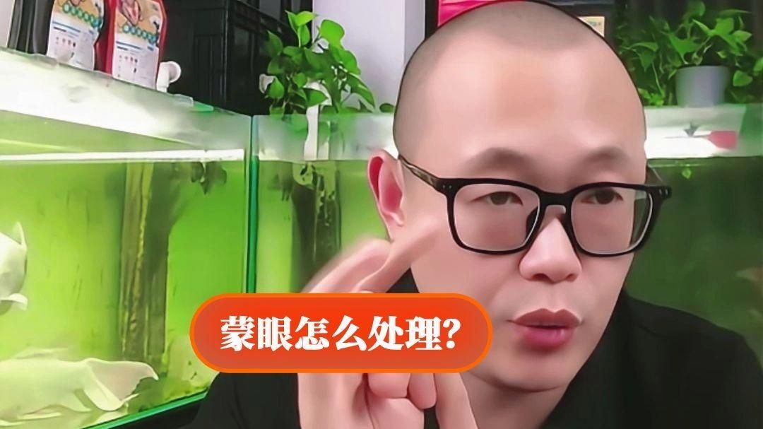 蒙眼病的魚怎么治療，魚蒙眼病多久能治好