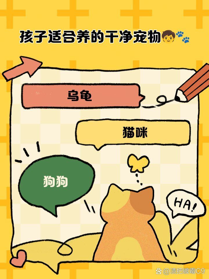 龍魚和烏龜哪個更適合孩子飼養，孩子適合養的寵物推薦