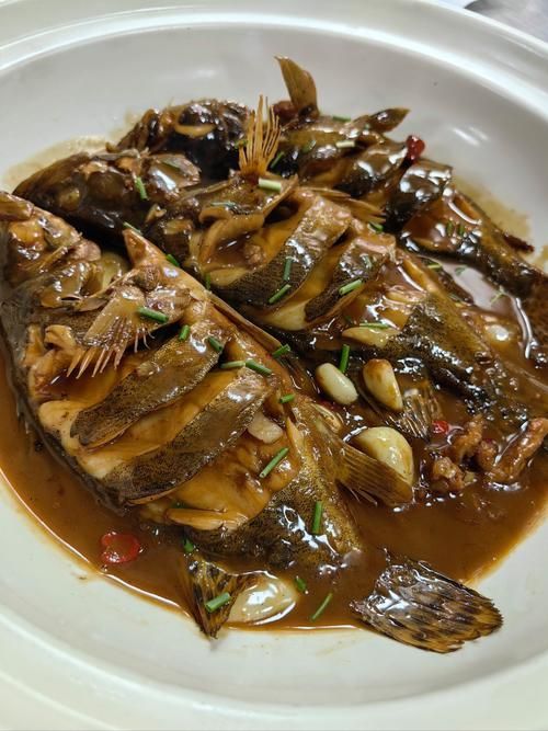 桂魚的最佳烹飪方法有哪些，桂魚最佳烹飪方法 桂魚的最佳烹飪方法有哪些，桂魚最佳烹飪方法 龍魚百科 第11張