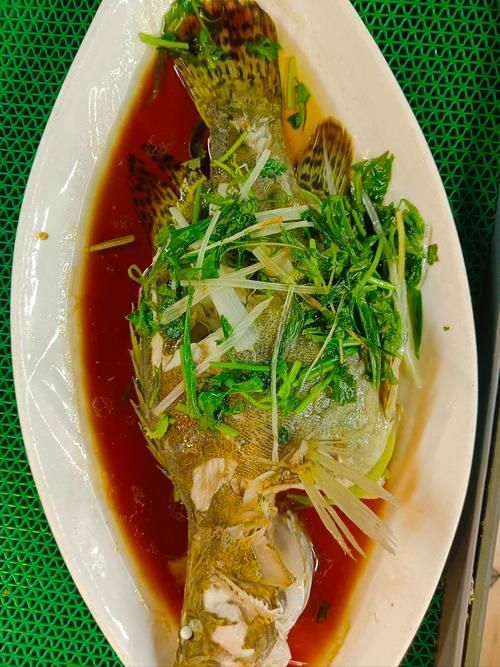 桂魚的最佳烹飪方法有哪些，桂魚最佳烹飪方法 桂魚的最佳烹飪方法有哪些，桂魚最佳烹飪方法 龍魚百科 第5張