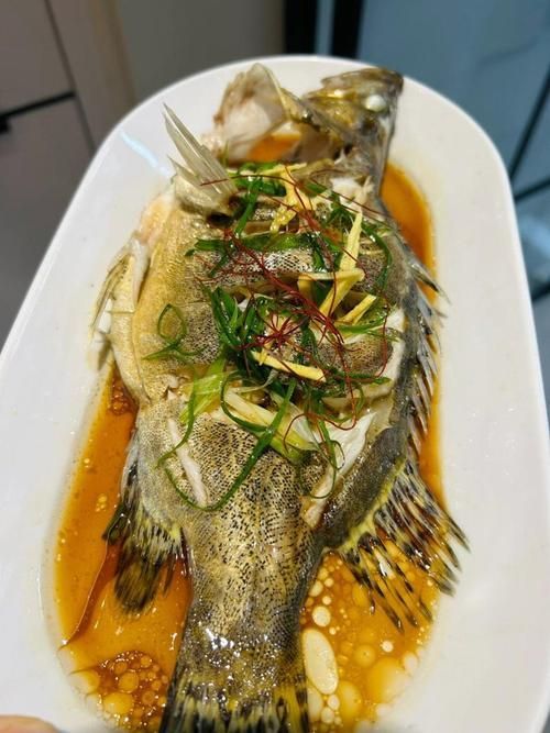 桂魚的最佳烹飪方法有哪些，桂魚最佳烹飪方法 桂魚的最佳烹飪方法有哪些，桂魚最佳烹飪方法 龍魚百科 第4張
