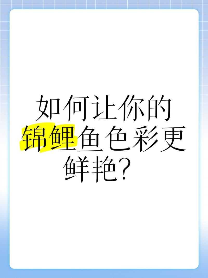 如何提升觀賞魚(yú)的色彩鮮艷度，如何提高觀賞魚(yú)的色彩鮮艷度？