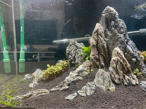 有哪些品牌推薦龍魚缸出水口？，龍魚缸出水口哪個牌子好？