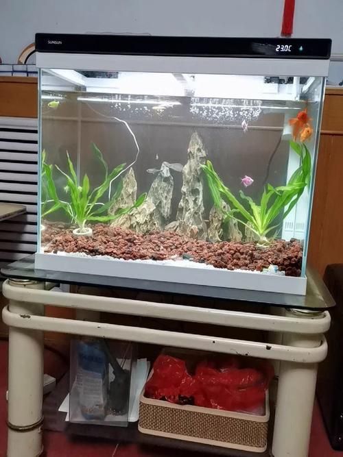 有沒有更多魚缸品牌推薦，當(dāng)貝智能魚缸