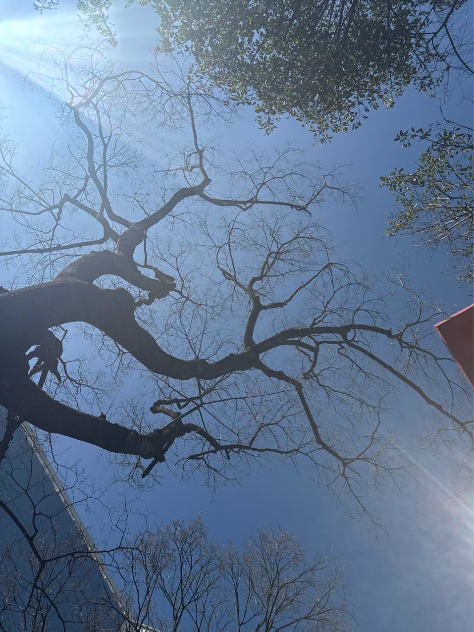 要回家過年了，回家過年的感受 要回家過年了，回家過年的感受 龍魚論壇