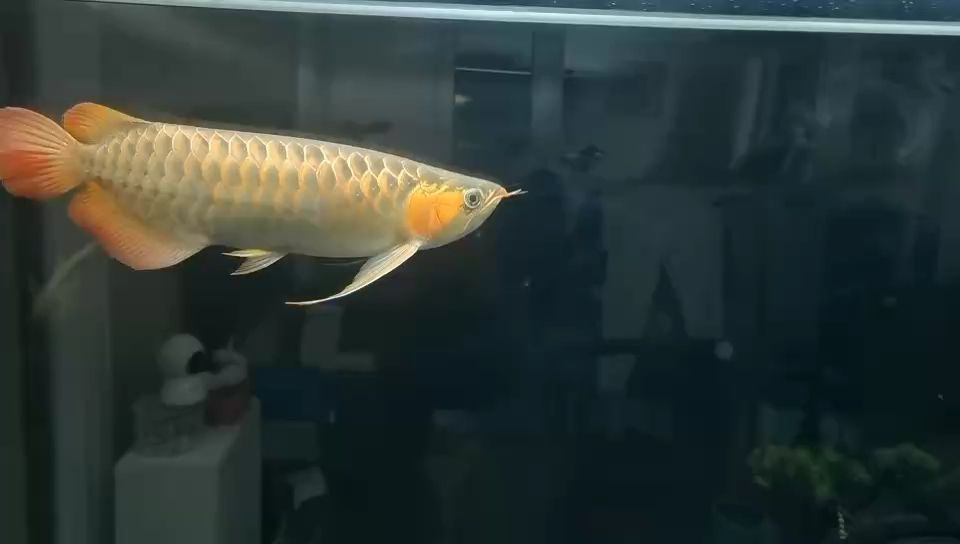 哈哈，哈希函數的奧秘