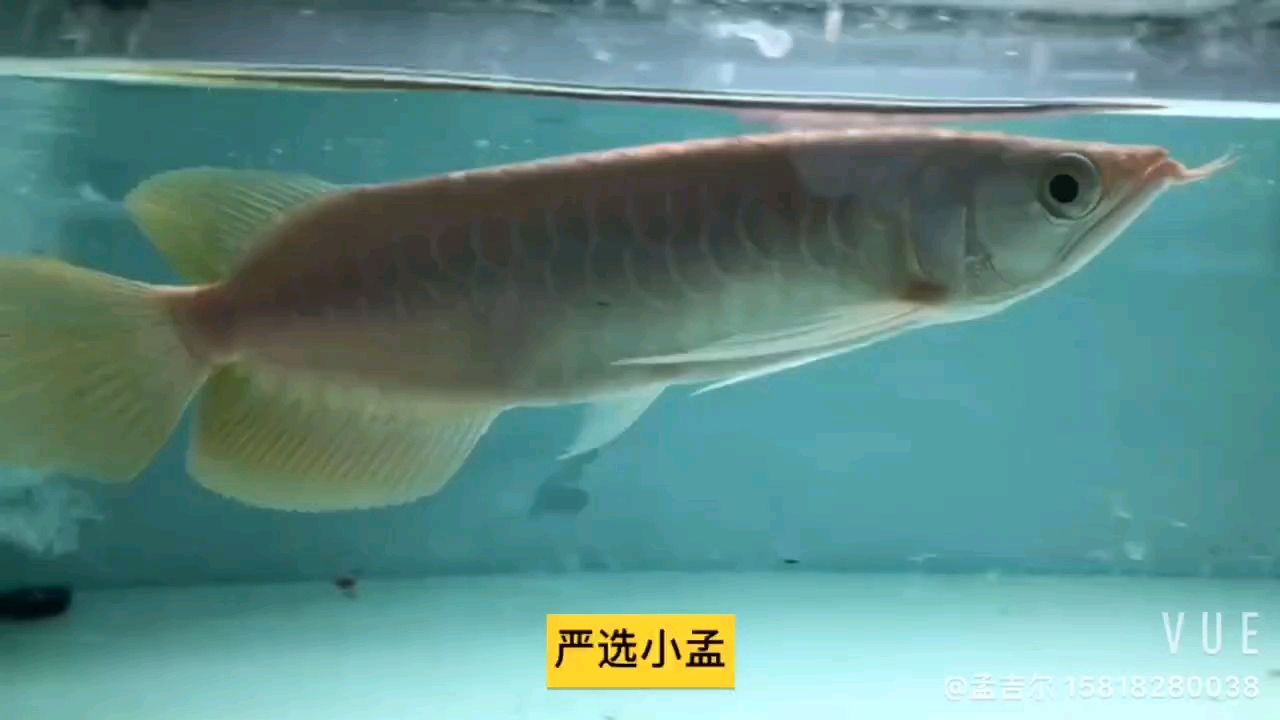 轉發991，個人信息保護的挑戰