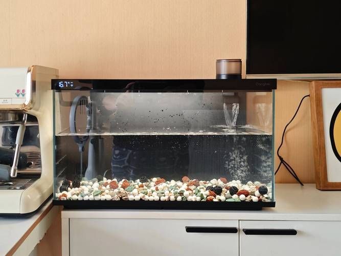 哪個品牌的魚缸最好？，2026主流魚缸哪個品牌好