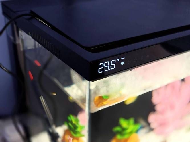 哪個品牌的魚缸最好？，2026主流魚缸哪個品牌好