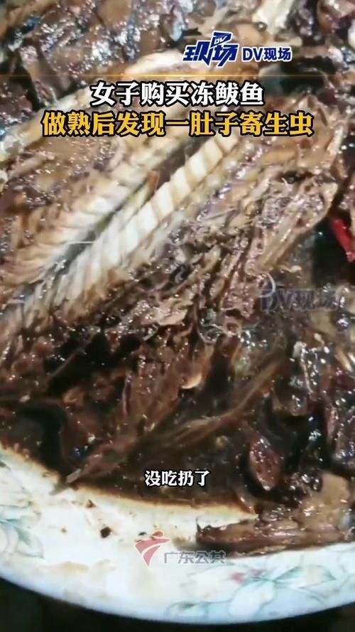鲅魚肚子里成團白線寄生蟲，鲅魚體內的寄生蟲——蛔蟲