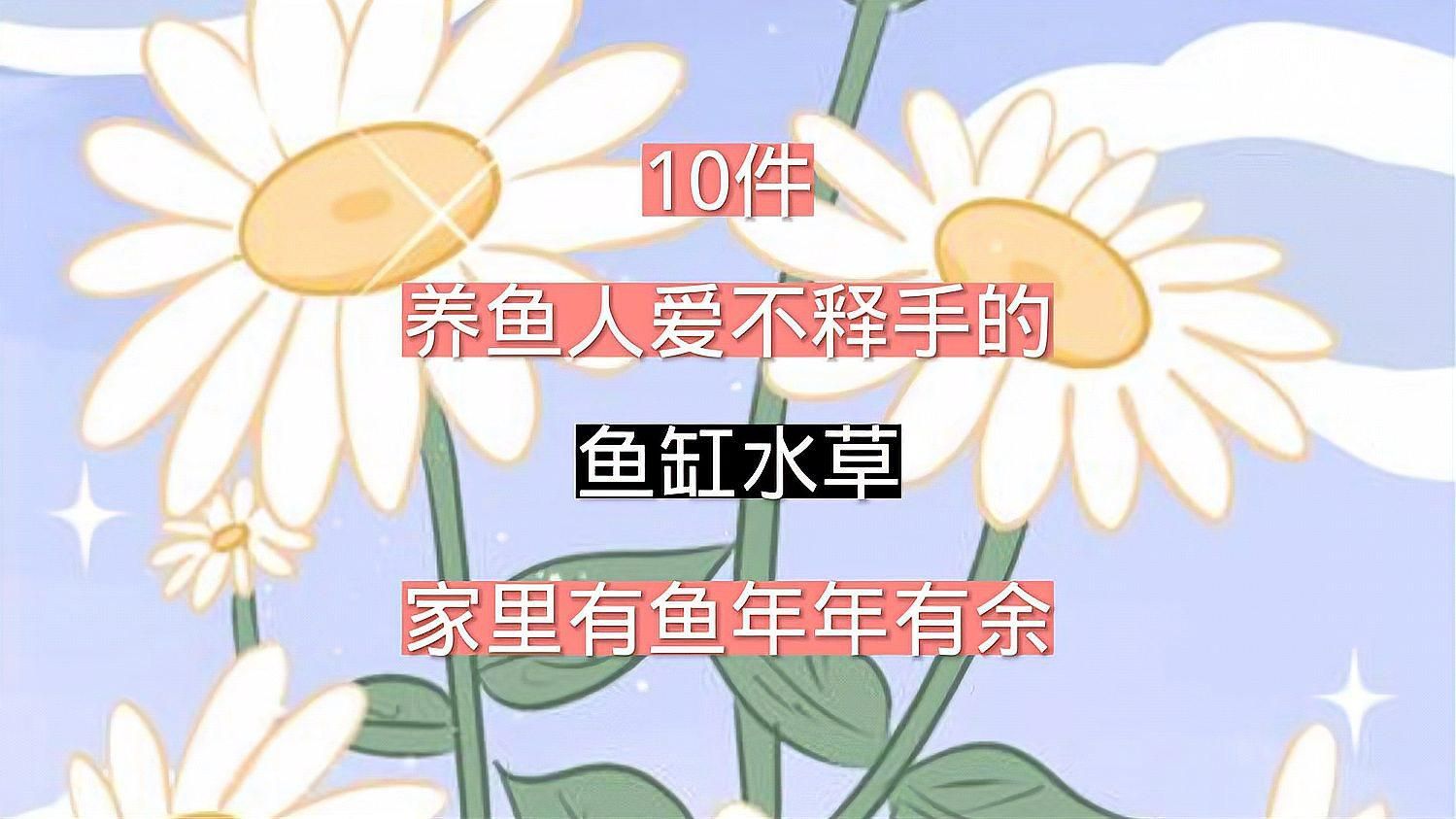龍魚缸中水草如何種植和維護，龍魚缸中種植水草是完全可行的，關鍵在于合理規劃空間、選擇耐折騰的水草品種 龍魚缸中水草如何種植和維護，龍魚缸中種植水草是完全可行的，關鍵在于合理規劃空間、選擇耐折騰的水草品種 龍魚百科