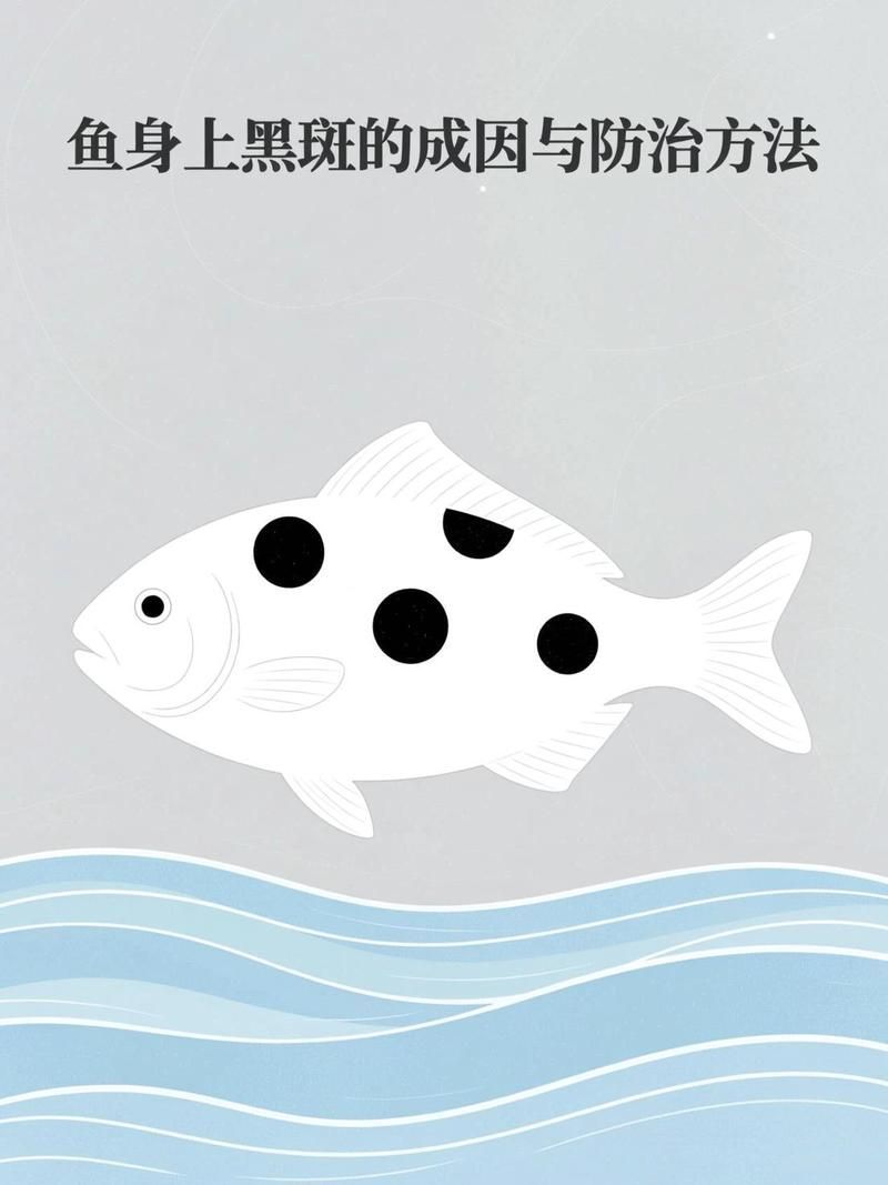 魚黑色霉斑會傳染嗎，魚身上有黑色霉斑怎么辦 魚黑色霉斑會傳染嗎，魚身上有黑色霉斑怎么辦 龍魚百科 第1張
