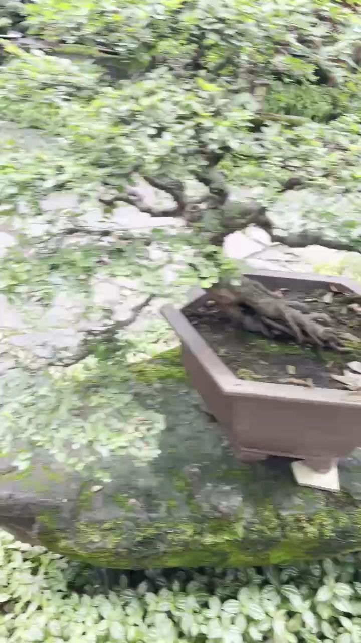 極品，什么是極品？