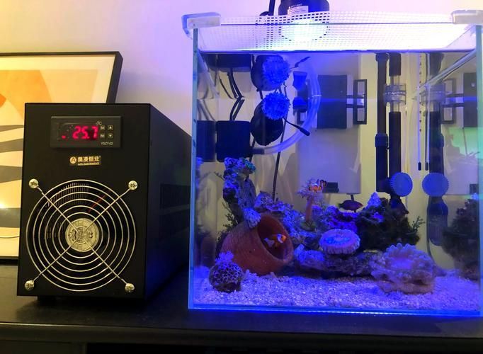 如何降低魚缸中的水溫到30度？，如何將魚缸水溫降至30度