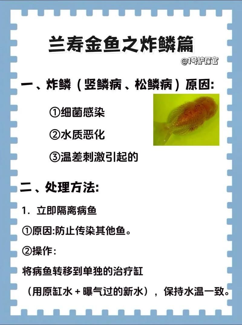 給我一些金龍魚疾病預(yù)防的圖片，金龍魚疾病預(yù)防