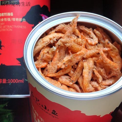 如何補充小火龍魚的鈣質？，小火龍魚的鈣質補充