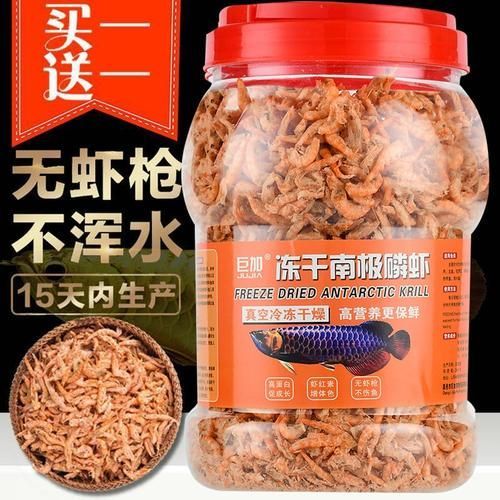 如何補充小火龍魚的鈣質？，小火龍魚的鈣質補充