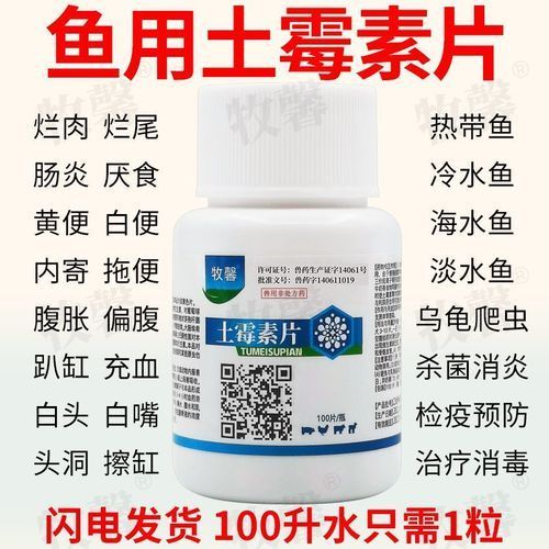 金龍魚爛尾最簡單三個方法，金龍魚爛尾病如何補充