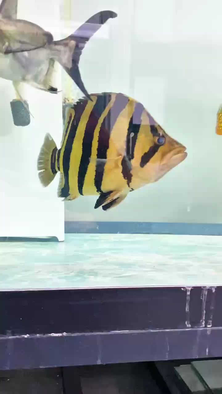 萬元戶潛力，萬元戶在社會經濟發展中的潛在價值和作用和作用