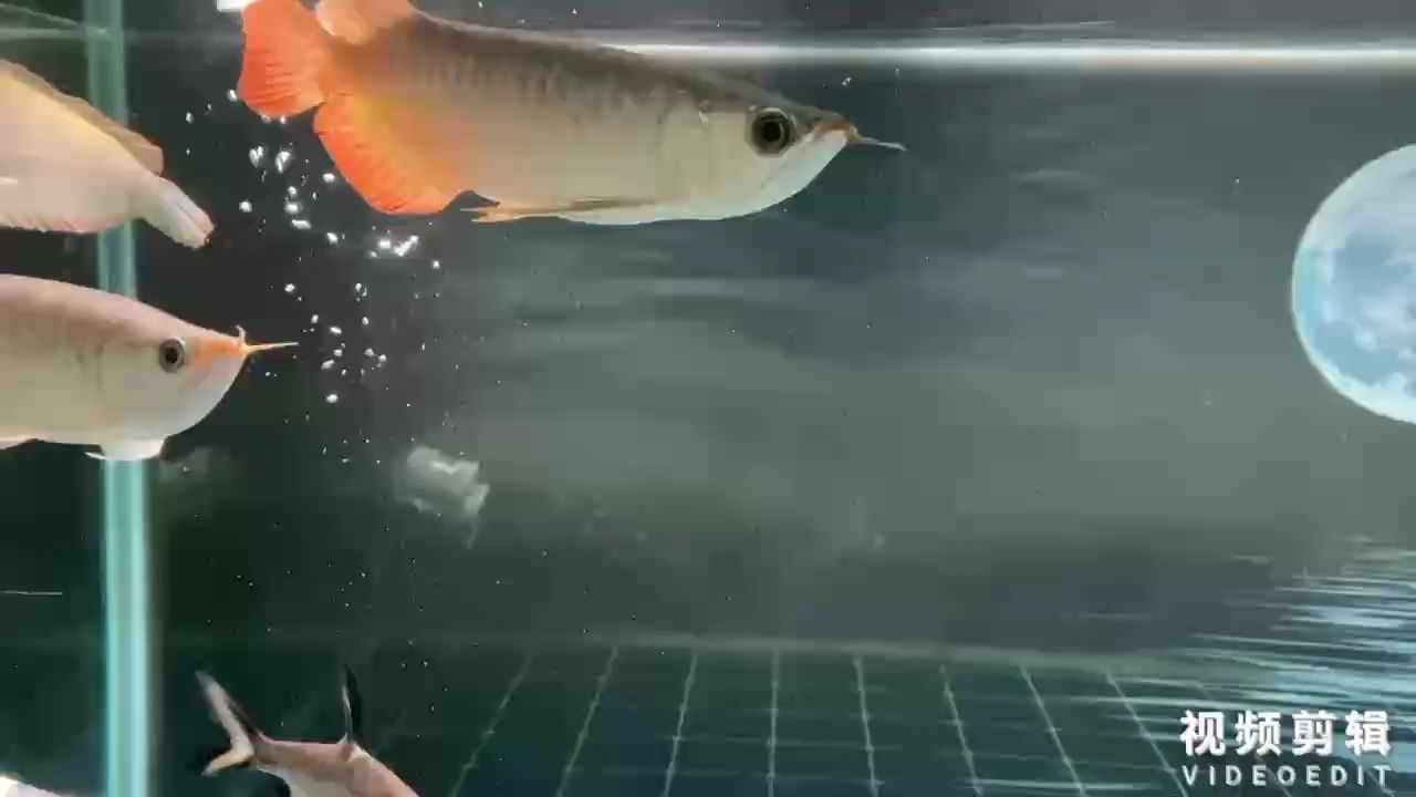 簽到，滴滴滴滴滴滴滴滴滴滴滴滴滴滴滴滴滴滴滴滴滴滴滴滴滴系統簽到系統
