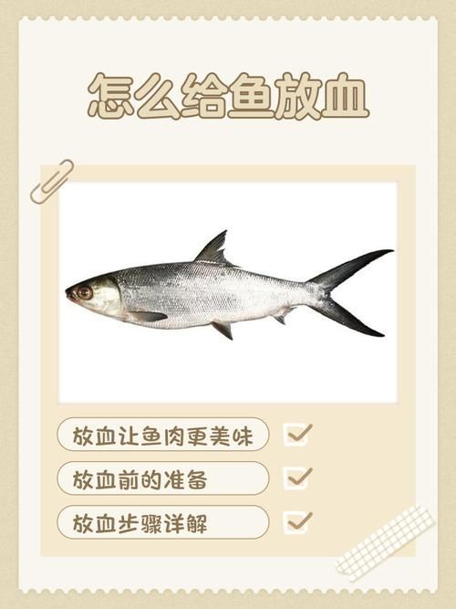 哪些藥物可以促進魚體愈合，《水產養殖用藥明白紙2025》