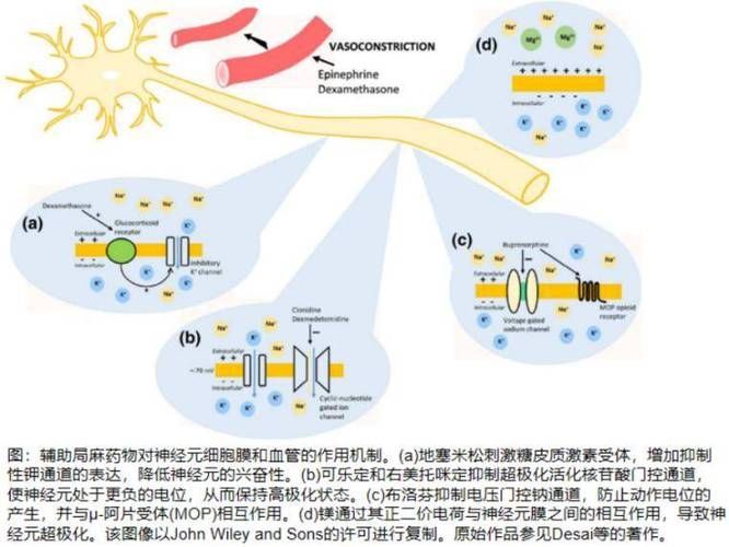 哪些藥物可以促進魚體愈合，《水產養殖用藥明白紙2025》