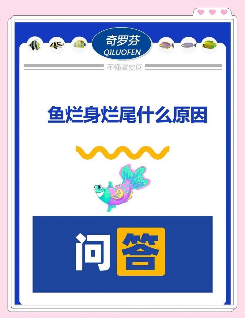如何預(yù)防魚體潰爛，養(yǎng)殖魚體潰爛的五原則，預(yù)防魚體潰爛的發(fā)生，必須從源頭阻斷