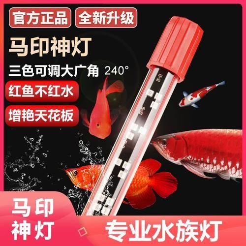 紅龍魚為什么發(fā)色好，紅龍魚發(fā)色好的原因包括以下幾點：紅龍魚發(fā)色好的原因
